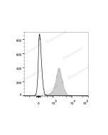 Elab Fluor ® Violet 450 Anti-Human/Mouse/Rat CD47 Antibody[MIAP410] (E-AB-F1016Q) elabscience