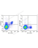 PE Anti-Mouse CD122/IL-2RB Antibody[5H4] (E-AB-F1029UD) elabscience