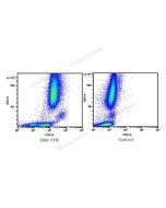 FITC Anti-Human CD31 Antibody[158-2B3] (E-AB-F1050C) elabscience