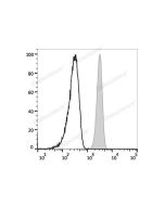 Elab Fluor ® Violet 450 Anti-Human CD32 Antibody[IV-3] (E-AB-F1075Q) elabscience