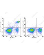 Elab Bright™ Violet 421 Anti-Mouse CD4 Antibody[GK1.5] (E-AB-F1097Q2) elabscience