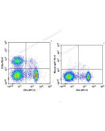 PE Anti-Rat CD8a Antibody[OX-8] (E-AB-F1098D) elabscience