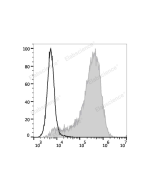 PE/Elab Fluor ® 594 Anti-Human CD34 Antibody[581] (E-AB-F1143P) elabscience