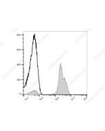 Elab Fluor ® 700 Anti-Human CD2 Antibody[TS1/8] (E-AB-F1148M1) elabscience