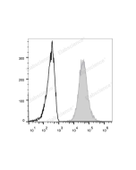 PE/Cyanine7 Anti-Human CD117/c-Kit Antibody[104D2] (E-AB-F1150H) elabscience