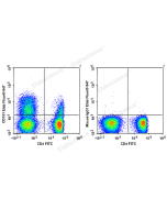 Elab Fluor ® 647 Anti-Human CD161 Antibody[HP-3G10] (E-AB-F1155M) elabscience