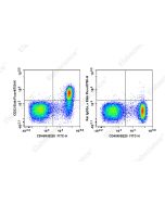 Elab Fluor ® 700 Anti-Mouse CD23 Antibody[B3B4] (E-AB-F1178M1) elabscience