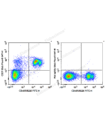 Biotin Anti-Mouse CD31 Antibody[390] (E-AB-F1180B) elabscience
