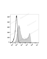 PE Anti-Mouse CD45.1 Antibody[A20] (E-AB-F1184UD) elabscience