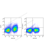 PE Anti-Mouse CD64/FcγRI Antibody[X54-5/7.1] (E-AB-F1186D) elabscience
