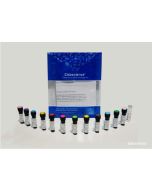 PE/Cyanine5.5 Anti-Mouse IgD Antibody[11-26c.2a] (E-AB-F1189UI) elabscience
