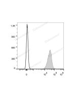 Elab Fluor ® 647 Anti-Mouse H-2 Antibody[M1/42] (E-AB-F1216M) elabscience