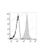 Elab Fluor ® Violet 450 Anti-Rat CD45 Antibody[OX-1] (E-AB-F1227Q) elabscience