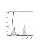 APC Anti-Rat CD3 Antibody[G4.18] (E-AB-F1228E) elabscience