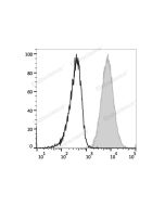 PE Anti-Human CD80 Antibody[2D10] (E-AB-F1232D) elabscience