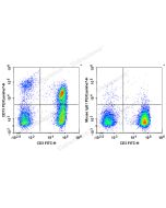 PE/Cyanine7 Anti-Human CD73 Antibody[AD2] (E-AB-F1242H) elabscience