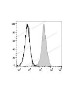 PE Anti-Mouse CD107a/LAMP-1 Antibody[1D4B] (E-AB-F1254D) elabscience