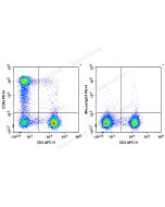 PE Anti-Human CD8a Antibody[HIT8a] (E-AB-F1271D) elabscience
