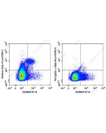 Elab Fluor ® 700 Anti-Mouse Perforin Antibody[S16009A] (E-AB-F1294M1) elabscience