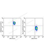 Elab Fluor ® 647 Anti-Human CD68 Antibody[Y1/82A] (E-AB-F1299M) elabscience