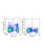 Elab Fluor ® 700 Anti-Rat CD161 Antibody[3.2.3] (E-AB-F1307M1) elabscience