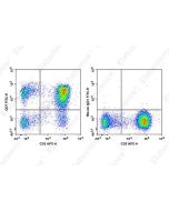 FITC Anti-Human CD7 Antibody[HIT7] (E-AB-F1315C) elabscience