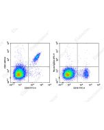 APC Anti-Human CD21 Antibody[HI21a] (E-AB-F1320E) elabscience