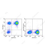 APC Anti-Human CD43 Antibody[HI161] (E-AB-F1328E) elabscience