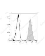 PE/Cyanine7 Anti-Human CD80 Antibody[2F4] (E-AB-F1365H) elabscience