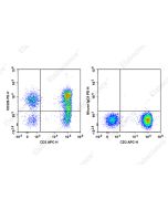 PE Anti-Human CD226/DNAM-1 Antibody[11A8] (E-AB-F1369D) elabscience
