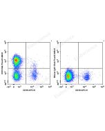 Elab Fluor ® 488 Anti-Human CD5 Antibody[5D7] (E-AB-F1371L) elabscience
