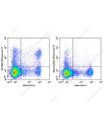 PE/Cyanine7 Anti-Human CD158b/j Antibody[DX27] (E-AB-F1381H) elabscience