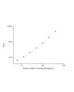 Human CASP1 (Caspase 1) CLIA Kit (E-CL-H0016) elabscience