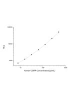 Human CGRP1 (Calcitonin Gene Related Peptide 1) CLIA Kit (E-CL-H0475) elabscience