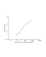Human UCHL1(Ubiquitin Carboxyl Terminal Hydrolase L1) ELISA Kit (E-EL-H2377) elabscience