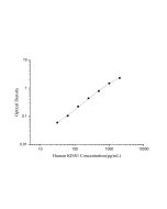 Human KISS1(Kisspeptin 1) ELISA Kit (E-EL-H6099) elabscience