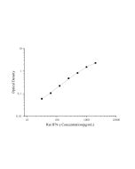 Rat IFN-γ(Interferon Gamma) ELISA Kit (E-EL-R0009) elabscience