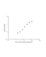Rat CASP9(Caspase 9) ELISA Kit (E-EL-R0163) elabscience