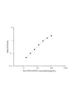 Rat NOS3/eNOS(Nitric Oxide Synthase 3, Endothelial) ELISA Kit (E-EL-R0367) elabscience