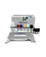 KAM (Kanamycin) ELISA Kit (E-FS-E087) elabscience