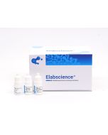 2-step plus Poly-HRP Anti Rabbit/Mouse IgG Detection System (E-IR-R211) elabscience