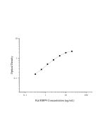 Rat RBP4 Antibody Pair Set (E-KAB-0639) elabscience