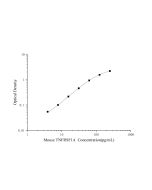 Mini Sample Mouse TNFRSF1A (Tumor Necrosis Factor Receptor Superfamily, Member 1A) ELISA Kit (E-MSEL-M0071) elabscience