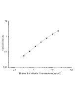 Uncoated Human P-Cadherin (Cadherin; Placental) ELISA Kit (E-UNEL-H0329) elabscience