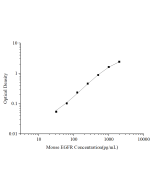 Uncoated Mouse EGFR(Epidermal Growth Factor Receptor) ELISA Kit (E-UNEL-M0039) elabscience