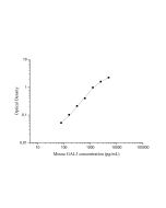 Uncoated Mouse GAL3 (Galectin 3) ELISA Kit (E-UNEL-M0157) elabscience