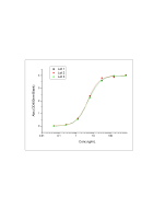Recombinant Human B7-H3/CD276 Protein (His Tag) (PKSH031218) elabscience