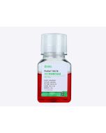 ProGro ™ 293TB 293 Transfection Reagents jetlifescience HEK040030