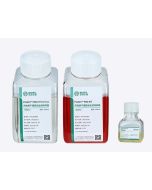 ProGro ™ MSC KIT jetlifescience MSC090080