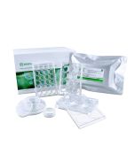 Poly-D-Lysine-coated Products jetlifescience TCP040006